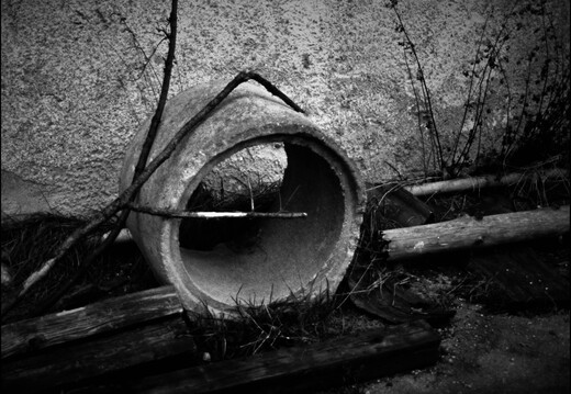 © Josef Safranek