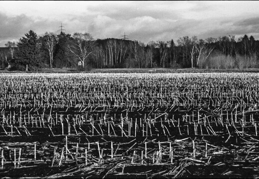 © Josef Safranek