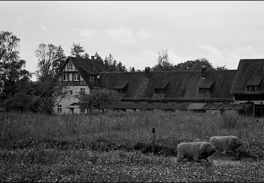 © Josef Safranek