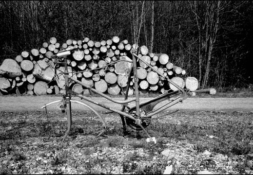 © Josef Safranek