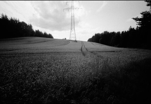 © Josef Safranek