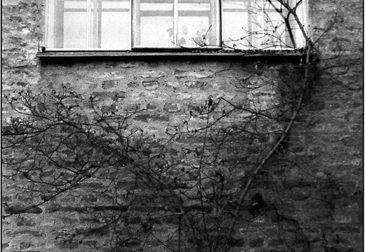 © Josef Safranek