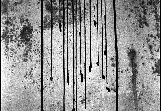 © Josef Safranek