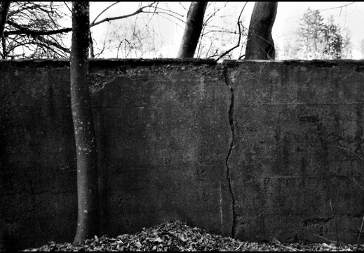 © Josef Safranek