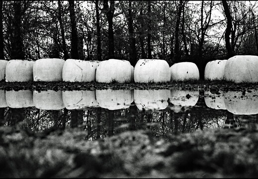 © Josef Safranek