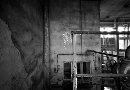 © Josef Safranek