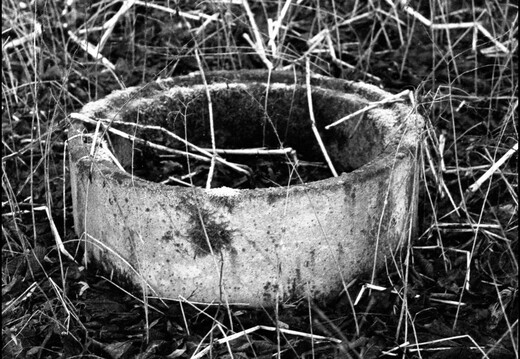 © Josef Safranek