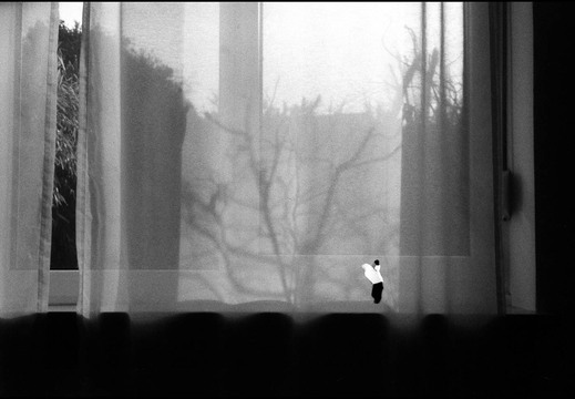 © Josef Safranek