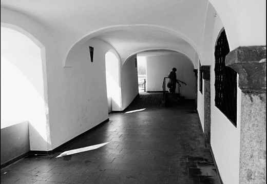 © Josef Safranek