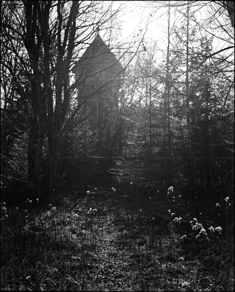 natur-mit-wasserturm_51009761877_o.jpg