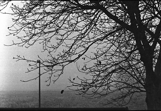 © Josef Safranek