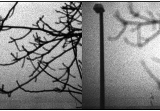 © Josef Safranek