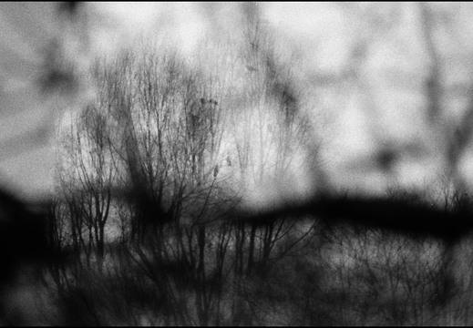 © Josef Safranek