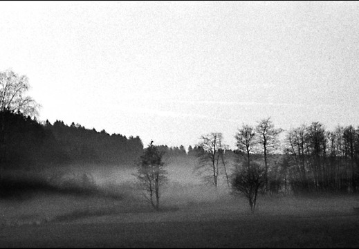 © Josef Safranek