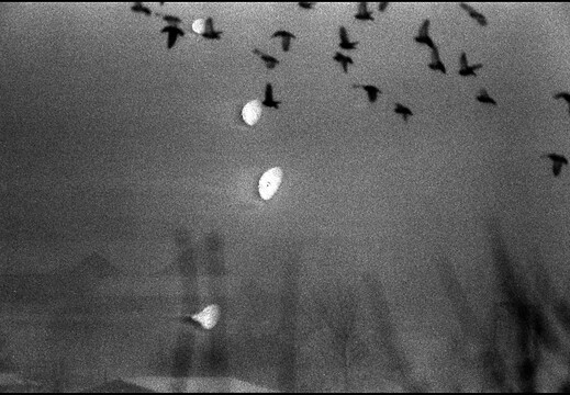 © Josef Safranek