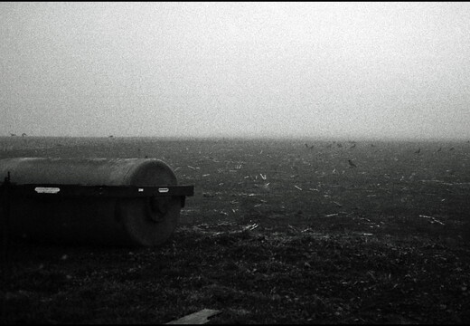 © Josef Safranek
