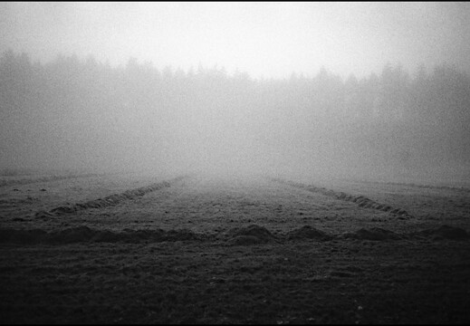 © Josef Safranek