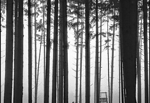 © Josef Safranek