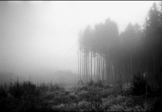 © Josef Safranek