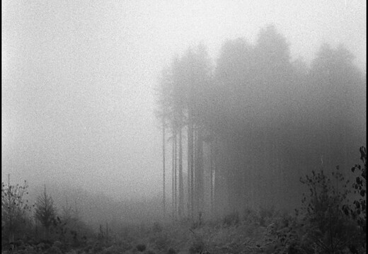 © Josef Safranek