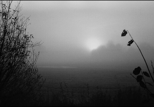 © Josef Safranek