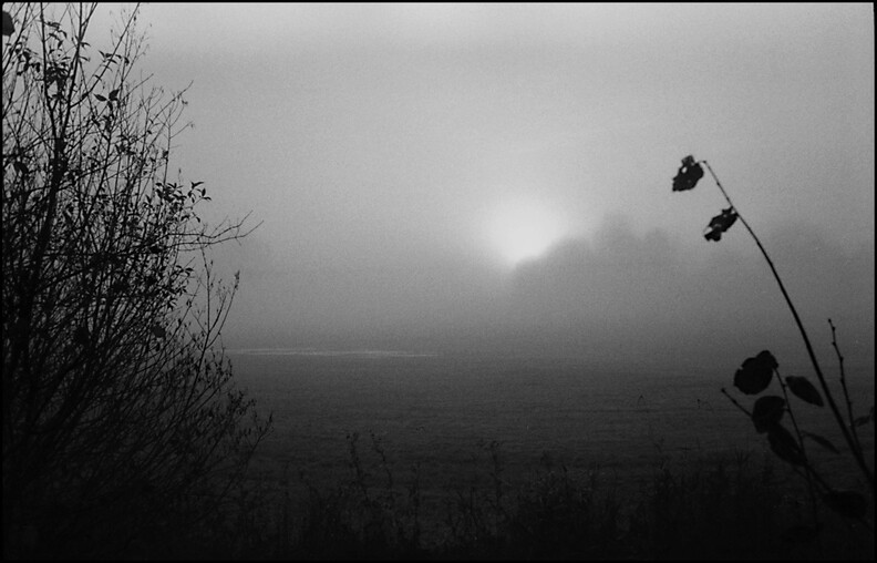 frh-morgens-unterwegs_51693859338_o.jpg