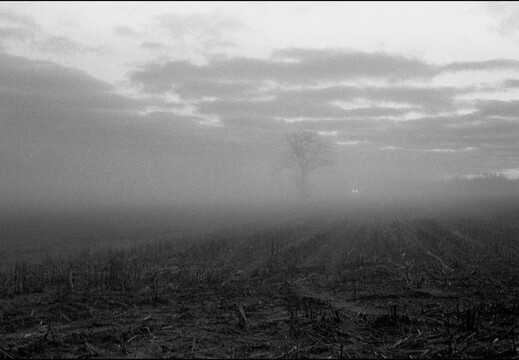 © Josef Safranek