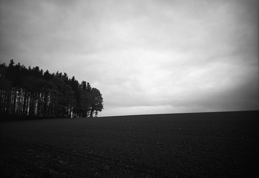 © Josef Safranek