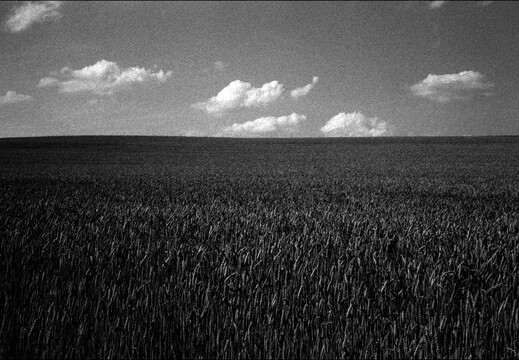 © Josef Safranek