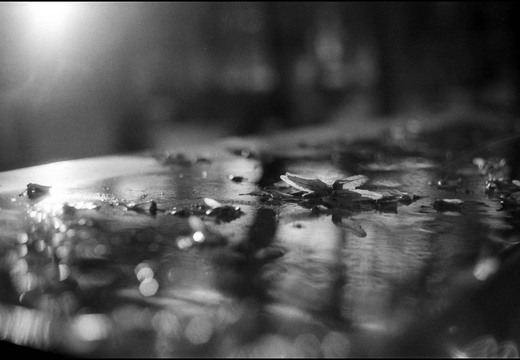 © Josef Safranek