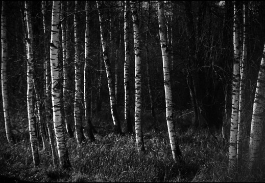 © Josef Safranek