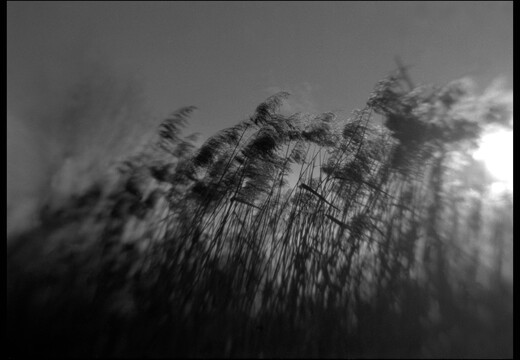 © Josef Safranek