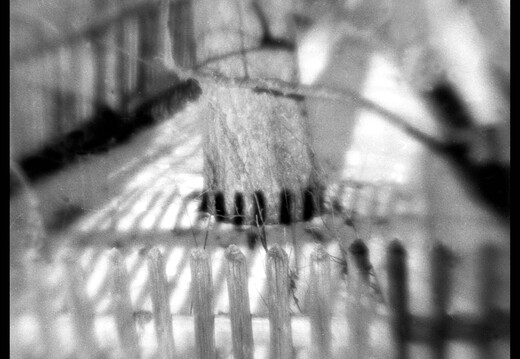 © Josef Safranek