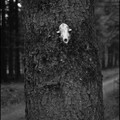 Einsames & Still-Leben