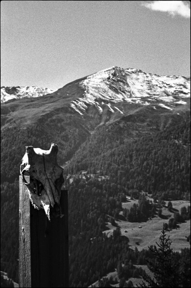 totem_48991292947_o.jpg