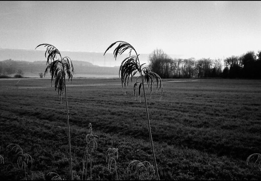 © Josef Safranek