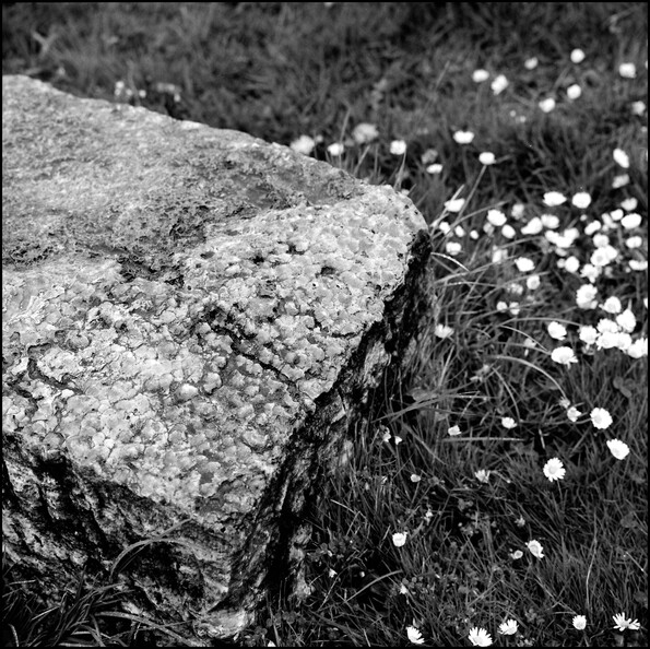 stein-der-weisen_50128735007_o.jpg