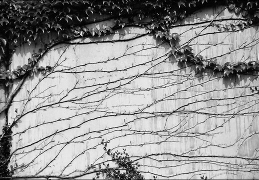 © Josef Safranek