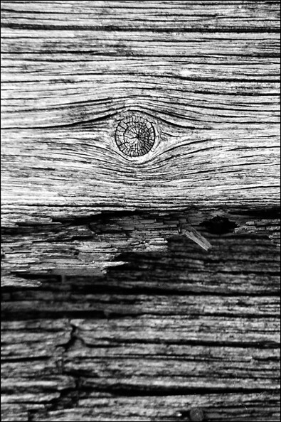holzauge-sei-wachsam_51178620414_o.jpg