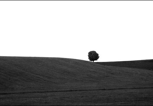 © Josef Safranek