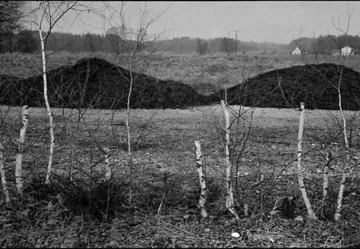 © Josef Safranek