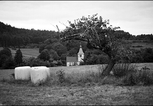 © Josef Safranek