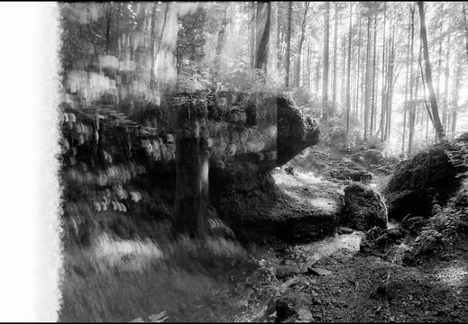 © Josef Safranek