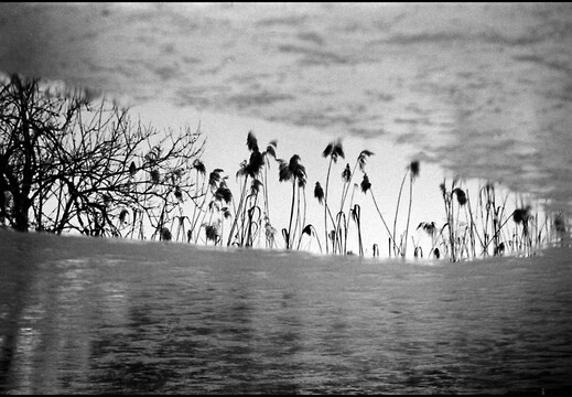 © Josef Safranek
