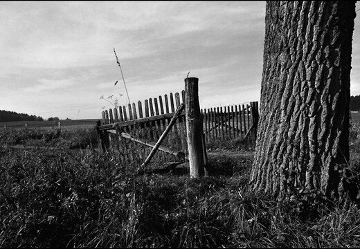 © Josef Safranek