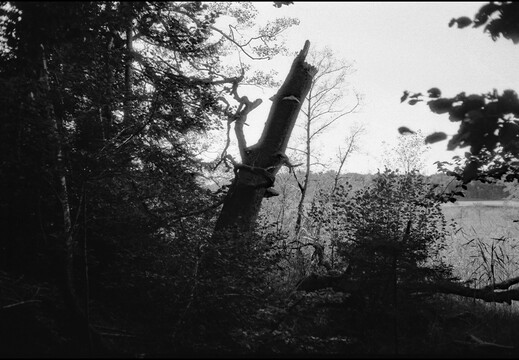 © Josef Safranek