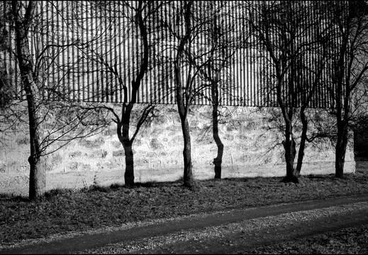 © Josef Safranek