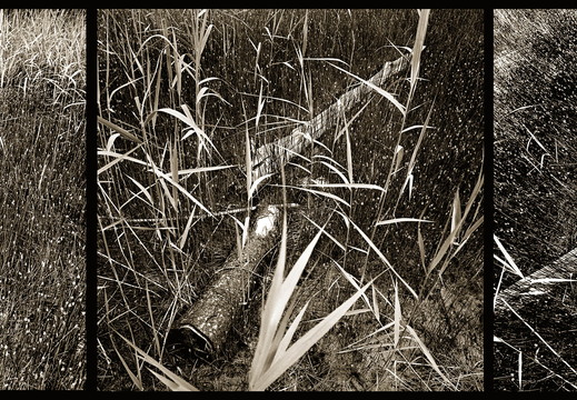 © Josef Safranek