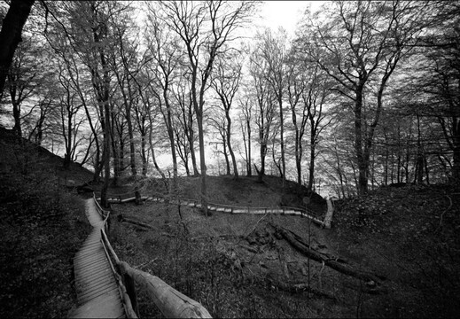 © Josef Safranek