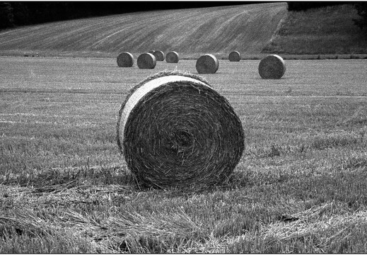 © Josef Safranek